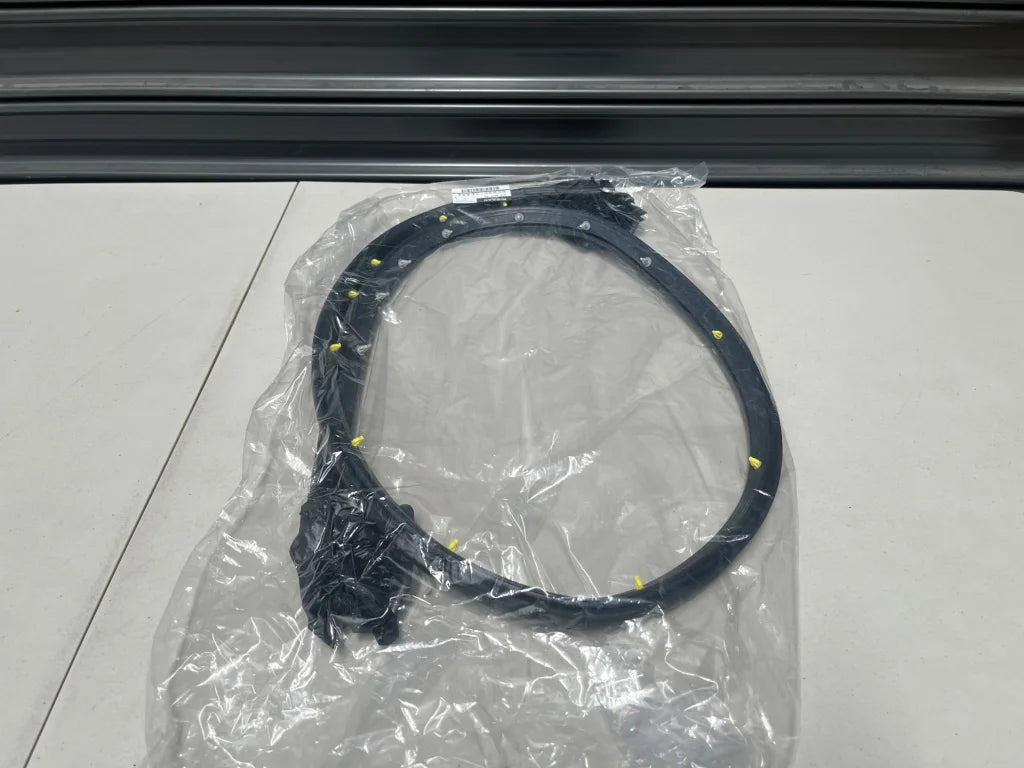 Door Weatherstrip Rhs To Suit Nissan 370Z Z34 80830 - 1Ea0A Body Mouldings / Seals