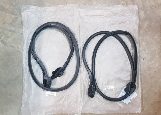 Door Weatherstrip Set (RHS & LHS) to suit Nissan Skyline R33 GTR / GTS-T/ GTS - Coupe - Vega Autosports